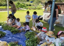 삼척학포란 소개-동막4리학포란영농조합법인