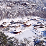 주변정보-울진 해돋이모텔