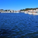 주변정보-울진 해돋이모텔