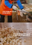 다울협동조합-대구마을기업 마읆씨좋은대구