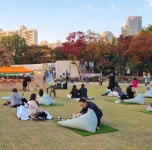 축제기획-문화예술협동조합 예술로