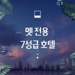 예정 서비스-(주)딩펫