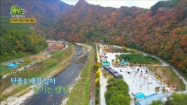 외부전경-정선 파인트리캠핑장