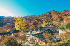 용문산 여행-양평 용문산 뜰안채