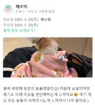 병원후기-동물심장병원 진심