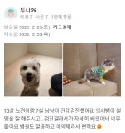 병원후기-동물심장병원 진심