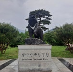 민들레사역앨범-민들레교회
