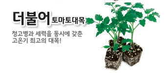더불어-농업회사법인 고농(주)