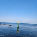浦项相生之手-完美國際旅行社 모두트래블