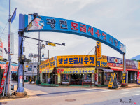 광천 소시장-사진사 곰돌이 2023