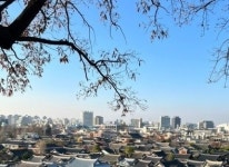 주변정보-전주 한옥스테이 가락청