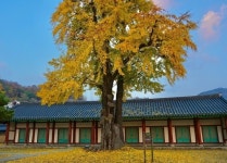 주변정보-전주 한옥스테이 가락청
