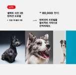 product-필드펫 스튜디오