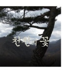 장수만세 -SMVFF