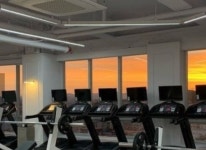 ONE GYM-원짐 야당