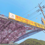 업체-신덕식당
