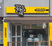 사진첩-고양이무마취미용