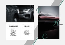 단기렌트&월렌트-주식회사 더휴먼카