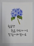 수채캘리그라피-한국평생교육원