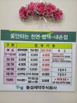 시술가격-옻안타는천연염색 내손점`