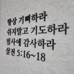 앨범-순복음생명나무교회