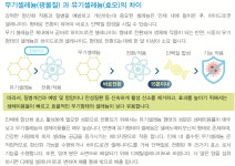 아크셀-한국아크셀 유한회사