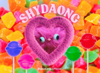 ABOUT ZIBIDANG-지비당