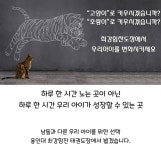 우리아이가 성장하는 곳-남양 용인대 최강힘찬 태권도