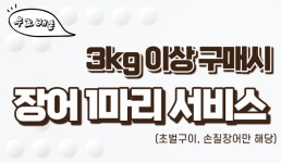 초벌장어-힘찬농수산