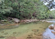 사과체험-농업회사법인(주)신선미가