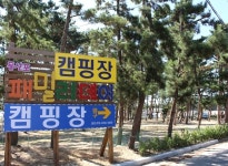 HOME-몽산포패밀리데이오토캠핑장