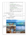 [견적] 시나몬 벨리푸시-투어클럽 여행사