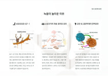 녹용보약-창포경희한의원