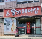 딸기-딸기헤어샵