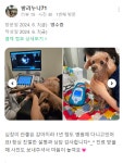 병원후기-동물심장병원 진심