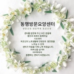 포토앨범-동행방문요양센터
