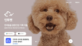 인투펫 인증병원-청평동물병원