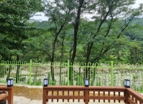 들꽃2호(2~4인)-양양 계곡펜션 들꽃내음