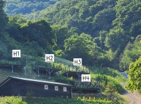 힐링존-단양도담캠핑장