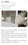 병원후기-동물심장병원 진심