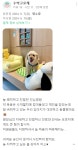 병원후기-동물심장병원 진심