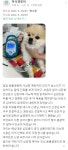 병원후기-동물심장병원 진심