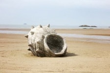 주변정보-신안 자은도 해사랑길민박
