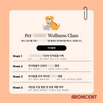 펫 웰니스 클래스-아롬