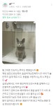 병원후기-동물심장병원 진심