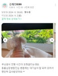 병원후기-동물심장병원 진심
