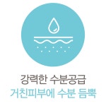 바디케어-디오에이치