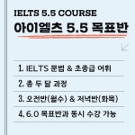 단과반 설명-호호랭귀지스쿨
