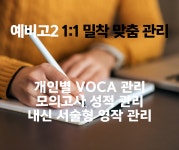 예비고2 집중반-이매동 초중고입시전문