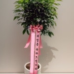 페이지-샤브연리지 김해진영점